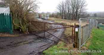 Homeless housing scheme in Pelaw to be ruled on by councillors after postponed decision