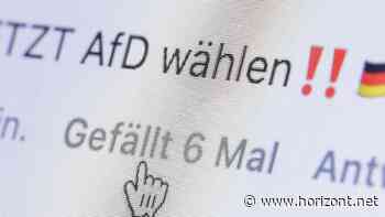 Wegen "rechtsextremer Parolen": Campact will TikTok zur Abschaltung von AfD-Accounts bewegen