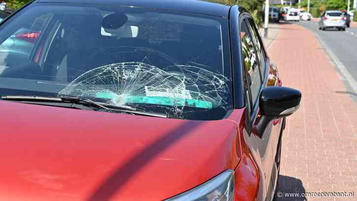 Fietser (90) doodgereden tijdens proefrit, vrouw (63) krijgt taakstraf