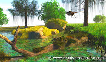 Giant Bugs and Scorching Wildfires Would Appear if Earth's Atmosphere Doubled in Mass