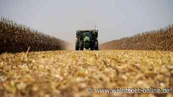 Getreidehändler mit Zahlen: Entwarnung nach Bilanzskandal: Diese Aktie dürfte jetzt kräftig steigen!
