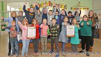 17 Millionen Schritte: Diese Wolfsburger Klasse kann jubeln