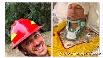 Colo. firefighter struck by falling tree during training exercise