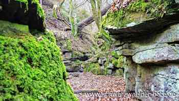 Tourismus in Wildberg: Rund 70 000 Übernachtungen in 2023