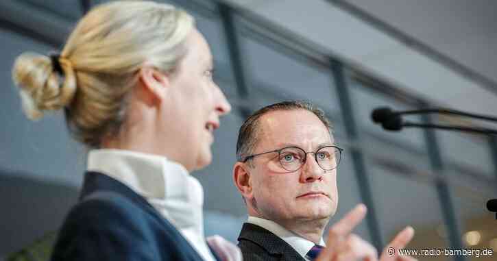 Bericht: 100 Rechtsextremisten arbeiten für AfD im Bundestag