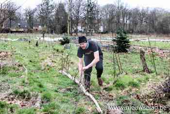 Ook Schilde heeft boze boer: gemeente weigert Koen vergunning voor zijn biologisch Hofse Veld