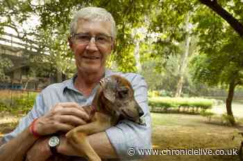 Paul O'Grady left £15.5m in his will with £125k set aside for his five dogs