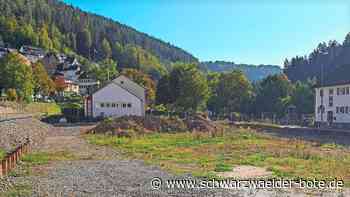 Seniorenwohnanlage Bad Teinach: Deshalb ist weiterhin Geduld gefragt