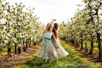 Uitbaatster fruitbedrijf houdt fotoshoots tussen lentebloesems: “Onze eigen boomgaard is mijn studio”