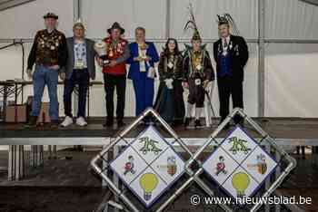 Breese verenigingen schitterden in memorabele lichtstoet