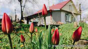 Steuertipp: Wann Sie auf Teilverkauf eines Grundstücks Steuern zahlen müssen