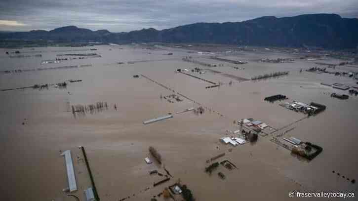 Federal disaster aid for Fraser Valley floods, landslides taking too long: B.C. MP