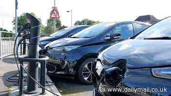 Switching to EVs could spare 60,000 children from birth defects and autism in just 12 states alone, study claims