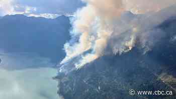 The ecological impact of wildfires