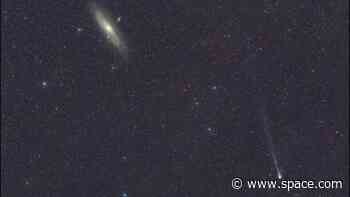 Watch 'horned' comet 12P/Pons-Brooks zoom past the Andromeda Galaxy live today (video)