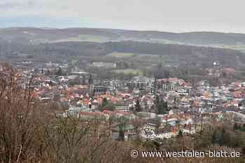 Eklat im Rat Bad Driburg - Mandatsträger verlassen den Saal