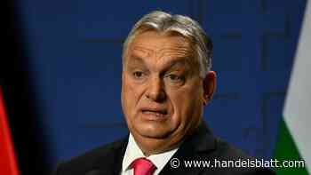 Zentralbank: Ungarns Notenbank warnt vor Gesetzesvorhaben der Orban-Regierung