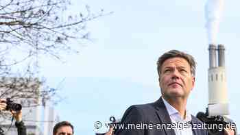 Vier Milliarden Euro: Wie Habecks Klimaschutzverträge die Industrie klimaneutral machen sollen