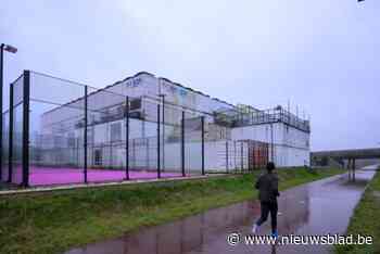 Instagram-account Plein Publiek zonder duidelijke reden verwijderd door Meta: “We staan met onze rug tegen de muur“