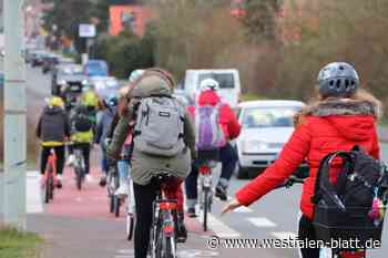Stadt plant 25 Prozent Radverkehr