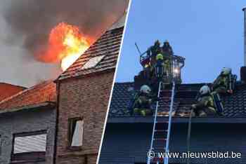 Brandweer rukt massaal uit voor woningbrand in Stabroek: “Rijhuis onbewoonbaar door waterschade”