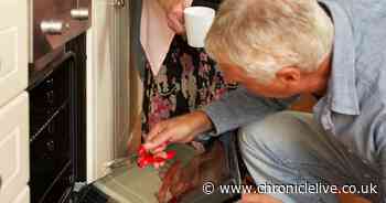 Consumer group explains exactly what you should do if your oven explodes or shatters