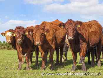 Lycetts expert on keeping safe and supporting farmers