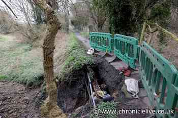 High voltage cable exposed on public footpath in Newcastle 'not being treated as an emergency'