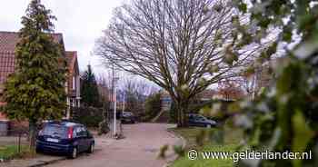 Geklus in zijn huurwoning komt Bjorn en zijn curator duur te staan