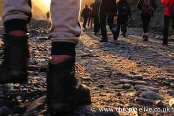 Expert reveals the exact number of steps you need per day to 'add three years to your life'