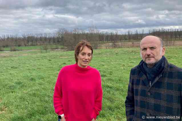 Meer dan Groen met verstomming geslagen: “Verkaveling in watergevoelig gebied ondanks negatief advies tóch goedgekeurd”