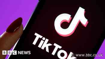 Trump says TikTok ban would only help Facebook
