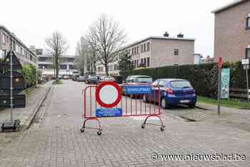 Krokusstraat in Merksem test proefperiode uit als schoolstraat