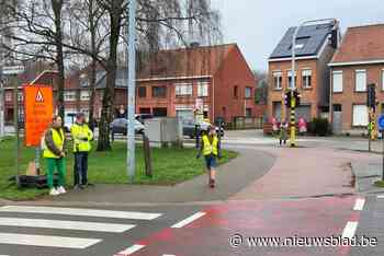 Schoolkinderen leggen voetgangersexamen op drukke punten af