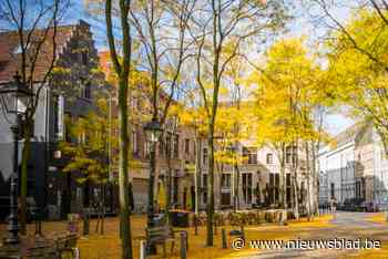 Buurtbewoners, studenten en kunstenaars bouwen samen aan collectief kunstwerk op plein Stadswaag