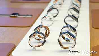 Best Apple Watch Bands for 2024     - CNET