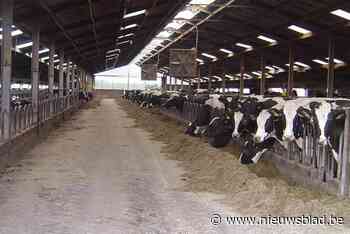 Jonge landbouwers veranderen boerderij in pretfabriek