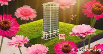 Navigating Toronto’s condo market this spring? Here’s what to expect