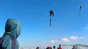 WATCH:  Displaced children in Gaza seek solace in kites