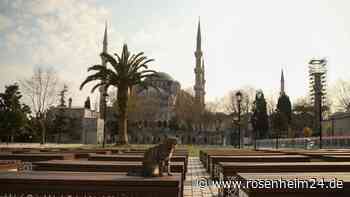 Getötete Katze namens Eros bewegt Türkei