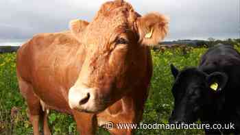 JBS greenwashing lawsuit ‘wake-up call’ for food firms