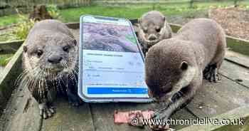 Wearside wetland reserve launches interactive app so visitors can 'make memories'