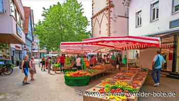 Gemeinderat Nagold: Radfahrer werden zur Zielscheibe