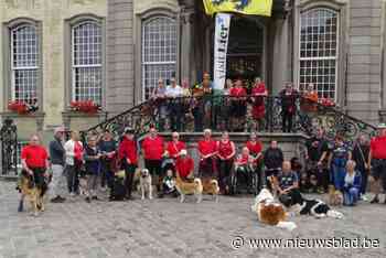Hondenschool Pallieter viert St. Patricks Day op zondag 17 maart