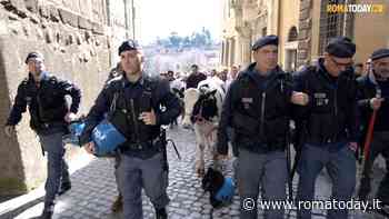 VIDEO | Gli agricoltori arrivano in Campidoglio, con loro anche la mucca Ercolina: "Non ci fermiamo, il Governo risponda"