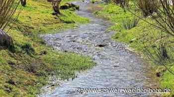 Gewässerentwicklung: Beitrag zur Vielfalt  und Schönheit der Landschaft um Ebhausen