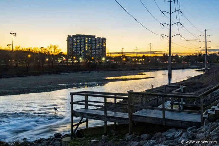 Arlington County investigating fish kill in Four Mile Run