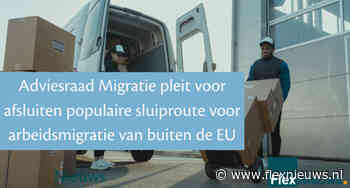 Adviesraad Migratie pleit voor afsluiten populaire sluiproute voor arbeidsmigratie van buiten de EU