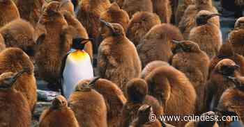 Why Diversification Matters for Crypto, Too