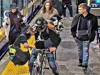 Police seek public's help identifying LRT assault suspects: EPS